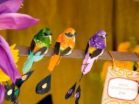 /album/fotogaleria/feria2-jpg/